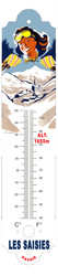 THERMOMETRE EMAILLE  LES SAISIES